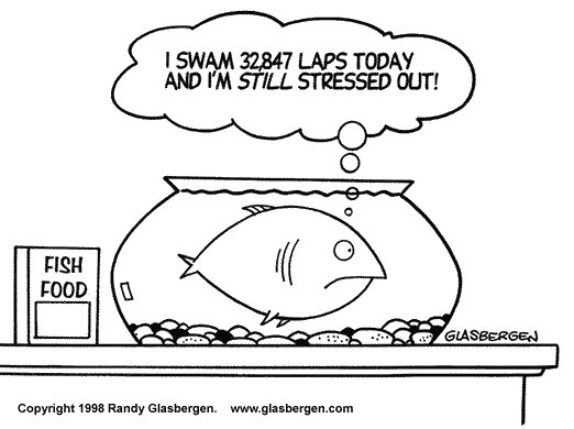 stillstressedout-fish